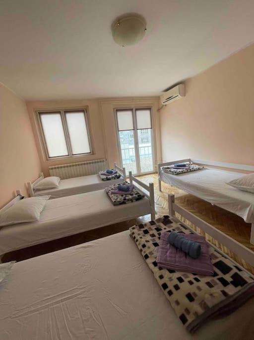 Bg Sunflower Apartment بلغراد المظهر الخارجي الصورة