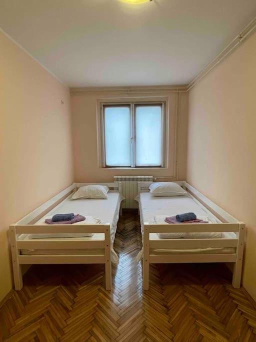 Bg Sunflower Apartment بلغراد المظهر الخارجي الصورة