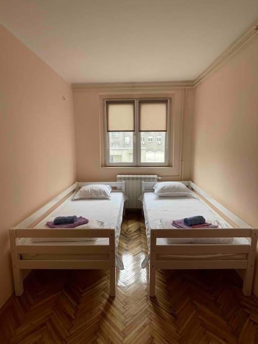 Bg Sunflower Apartment بلغراد المظهر الخارجي الصورة