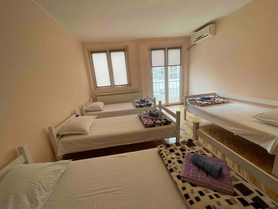 Bg Sunflower Apartment بلغراد المظهر الخارجي الصورة