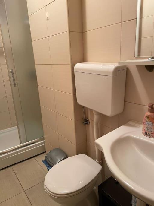 Bg Sunflower Apartment بلغراد المظهر الخارجي الصورة