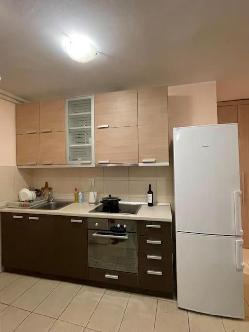Bg Sunflower Apartment بلغراد المظهر الخارجي الصورة